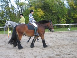 LF HSC - 0902_web